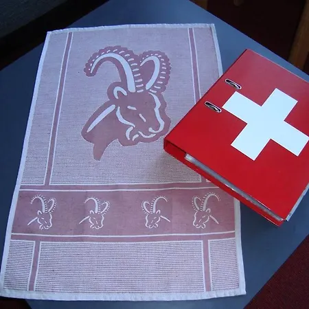 Cityhaus * Saas-Fee