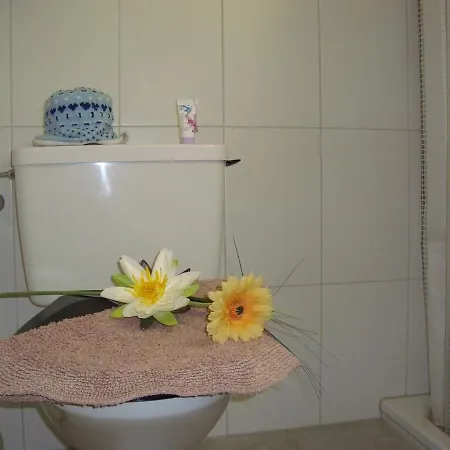 Apartment Cityhaus *